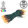 Novelty Lights M5 LED Christmas String Lights 50 Mini Bulbs (Green Wire, 25 Feet) - 2 of 4
