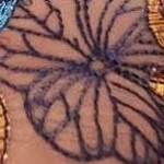 lotus pond embroidery c06