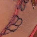 lotus pond embroidery c06