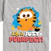 Boys' - Garfield - Life Is Just Purrfect Short Sleeve Graphic T-Shirt - 2 of 4