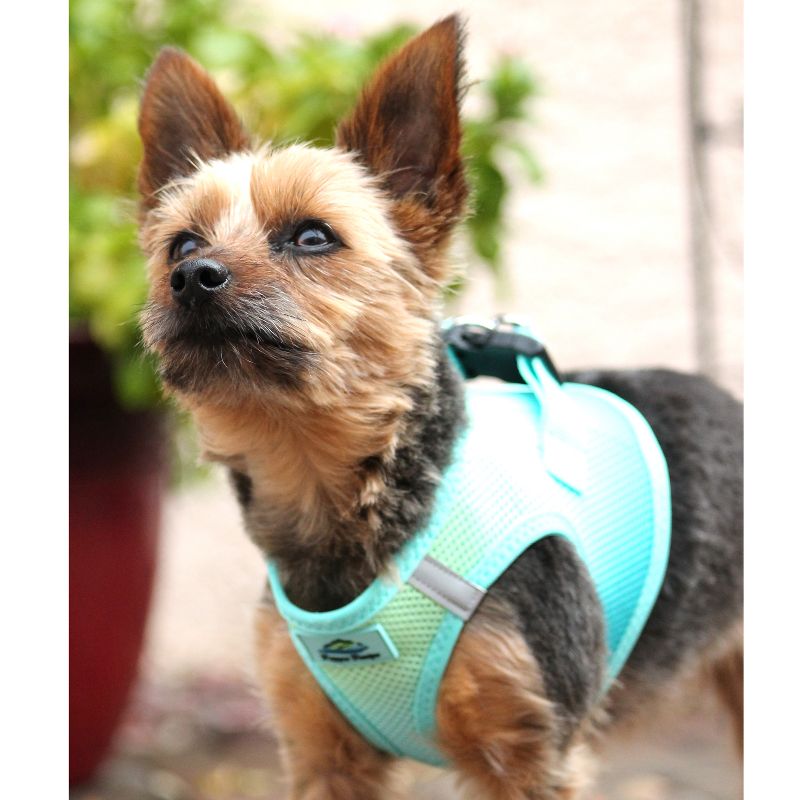 Doggie Design American River Choke Free Dog Harness Ombre Collection-Aruba Blue, 3 of 6