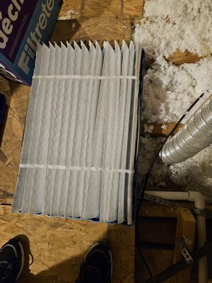 Guest review image 3 of 5, zoom in