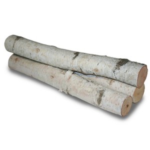 Wilson's Decorative White Birch Log Bundle - Set of 3 - 23-24" Long x 3-4" Diameter - 1 of 1