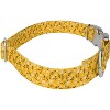 Country Brook Petz Premium Dog Collar - Spring Collection - 3 of 4