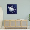 Stupell Industries Cyanotype Shells Traditional Conch Canvas Wall Art - 2 of 4