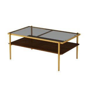 QingMoon Modern Coffee Table, Rectangle Glass Center Table, 2 Tier Tea Table with Tempered Glass Top and Wood Storage Shelf for Living Room, Office - 1 of 4