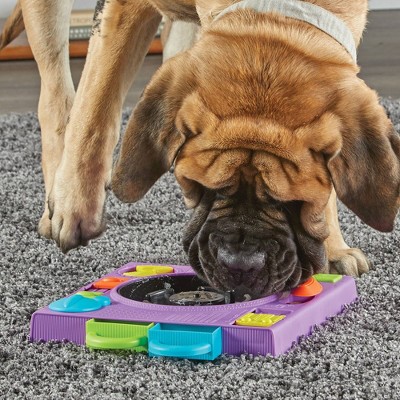 Brightkins DJ Doggo Multicolor Puzzle Feeder Treat Dispenser