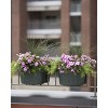 Self-Watering Saddle Railing Planter, 16" - 3 of 4