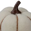 Northlight 5" Cream and Brown Fall Harvest Tabletop Pumpkin - 3 of 4