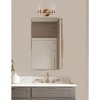 Toltec Lighting Atlas 2 - Light Vanity in  New Aged Brass with 4" Clear Bubble Shade - 3 of 3