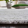Century CTY350 Power Loomed Indoor Rugs - Safavieh - 4 of 4