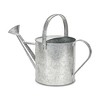 Cheung's Valta Galvanized Metal Decorative Watering Can - Large - 4 of 4