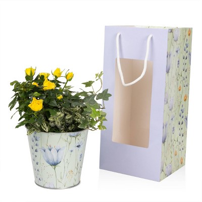 Live Plants Rose Garden Gift Bag