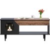 45'' Cat Litter Box Enclosure Furniture with Storage Drawer and Cat Door, Hidden Kitty Washroom Coffee Table for Living Room, White/Black - 4 of 4