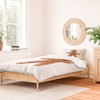 Orara Studio Gingerbread Man I Duvet Cover + Pillow Sham(s) - Deny Designs - 2 of 4