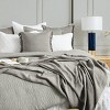 EY Essentials 20" x 26" Simone Ash Cotton Standard Sham - Machine Washable - 4 of 4