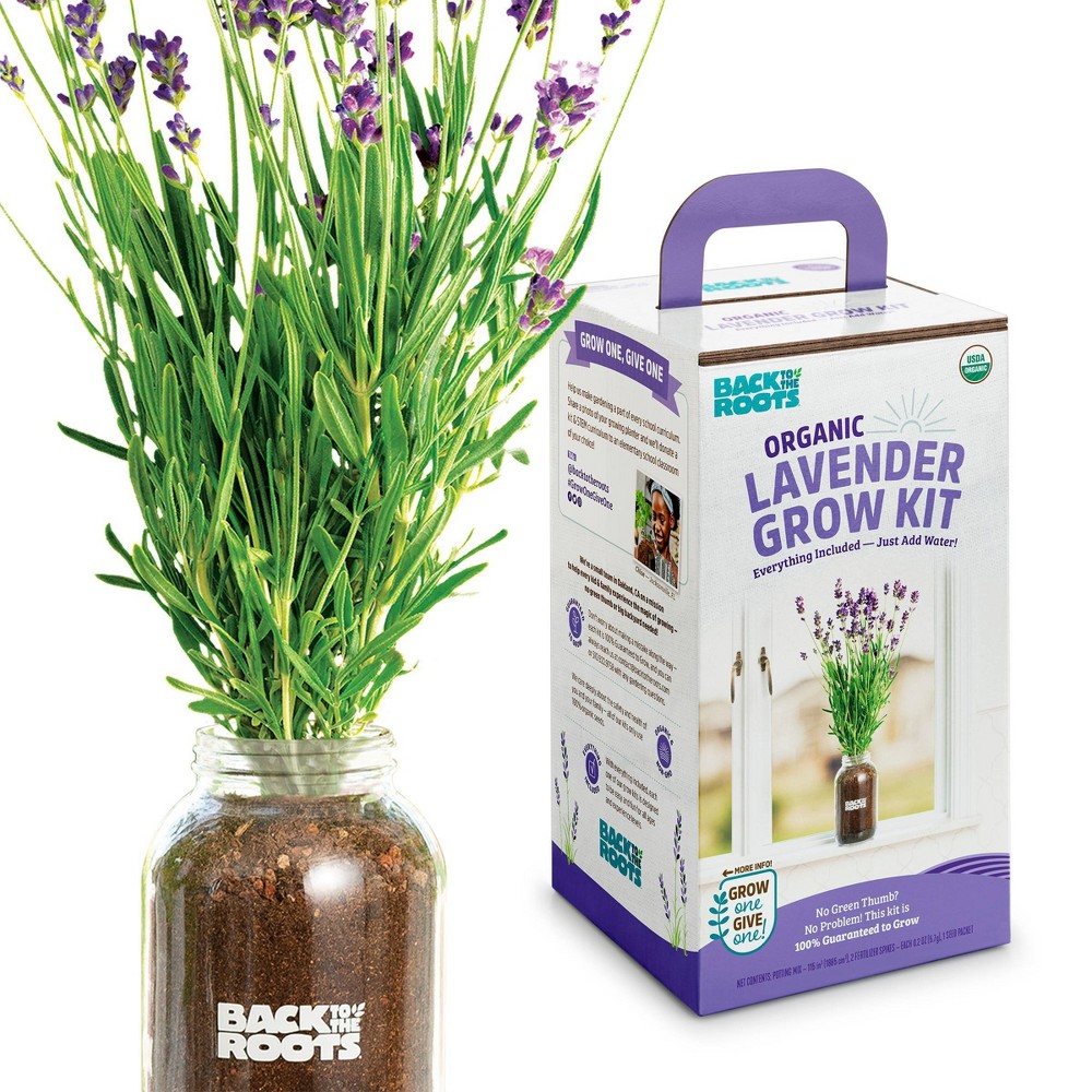 Photos - Garden & Outdoor Decoration Back to the Roots Organic Lavender Grow Kit