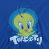 Looney Tunes Tweety Swirl Adult Pull-Over Hoodie - 2 of 4