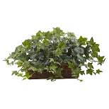 Puff Ivy in Ledge Basket - Nearly Natural