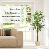 Artificial Dracaena Tree, 5.4ft Tall Fake Dracaena Plant with Pot, Faux Topiary Yucca Trees for Office Home Living Room Porch Patio - 3 of 4