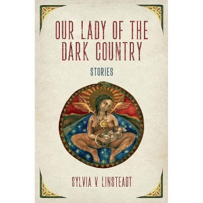 Our Lady of the Dark Country - by  Sylvia V Linsteadt (Paperback)