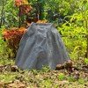 Gardenised Outdoor Natural Artificial Fringe Rock Decor for Gardens, Lawns, and Landscapes - 2 of 4