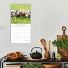 2026 Square Wall Calendar, Piggies, 16-Month Animals Theme with 180 Reminder Stickers (12x12 In) - 2 of 4