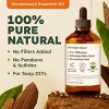 KUKKA Sandalwood Essential Oil 100% Pure Natural - 4 Fl Oz - 2 of 4