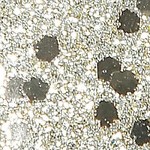 sequin