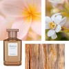 Fine'ry Edp Mini Fragrance Perfume Set - 5ct : Target