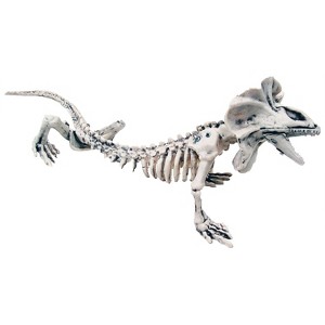 Sunstar Skeleton Lizard Halloween Decoration - 5.7 in x 16.9 in - White - 1 of 1