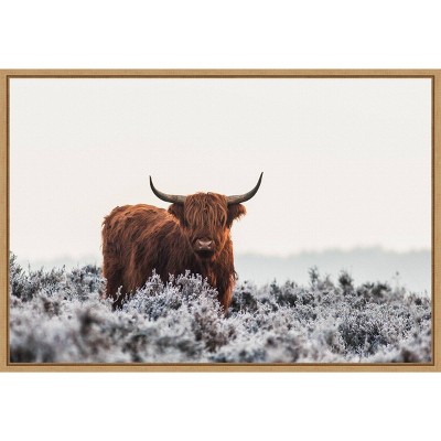 23" x 16" Highlander Horns by Jaap van den Framed Wall Canvas - Amanti Art