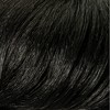 Adult Flapper Halloween Costume Wig Black - Hyde and EEK! Boutique™: Wig with Bangs, 1920s Style - 2 of 3