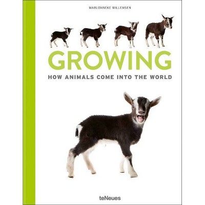 Growing - by  Marlonneke Willemsen (Hardcover)