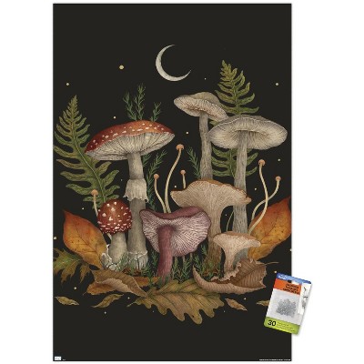 clear push pins bundle