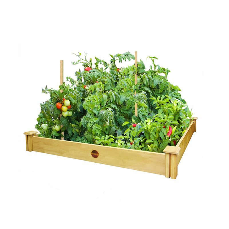 Miracle-Gro 5.5 in. H X 48 in. W X 48 in. D Cedar Elevated Garden Bed Kit Brown, 1 of 2