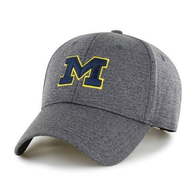 Michigan wolverines 2024 baseball hat