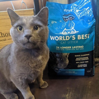 Target world's best cat hot sale litter