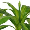 vidaXL Artificial Plant Green and Yellow Plastic and Iron Wire Medium - 2 of 2