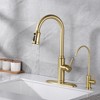 Kitchen Sink Faucet with Pull Down Dual Function Sprayer  Single Handle with Deck Plate Brushed Gold - image 2 of 4