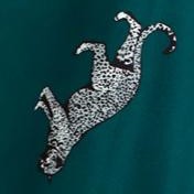 deep emerald leopard