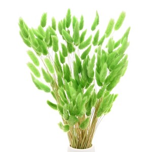 Unique Bargains Artificial Dried Flowers Realistic Look Pampas Bunny Tails Grass 17 Inch - 1 of 4