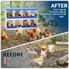 Garvee 8/10-Hole Metal Chicken Nesting Box with Perch, Roll-Away Egg Design, Wall Mount or Freestanding, Heavy-Duty Galvanized Steel - 4 of 4