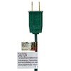 Northlight 25ct Transparent C9 Christmas String Lights Multi-Color - 24' Green Wire - 2 of 3