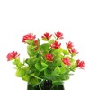 Unique Bargains Realistic Artificial Plants Eucalyptus & Lotus Arrangement Plastic 2.95"x2.95"x7.48" 1 Pcs - 4 of 4
