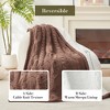 Amelie Home Reversible Chenille Cable Knit Throw Blanket - 2 of 4
