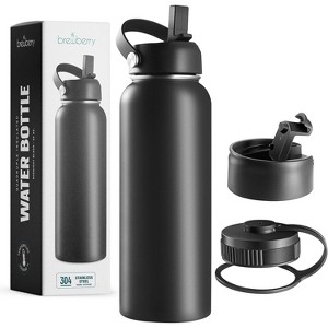 Brewberry Insulated Water Bottle and Travel Mug for Hot and Cold Beverages - 1 of 4
