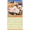 Trends International 2025 Searching For Sasquatch Wall Calendar: Monthly, 12x12 Inches, Multicolored, All Ages, Paper - 3 of 4