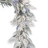 Christmas Frosted Acadia Garland - 2 of 4