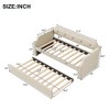 NicBex Twin Size Daybed Upholstered Day Bed with Trundle Bed Twin, Tufted Button and Copper Nail for Apartment - 2 of 4